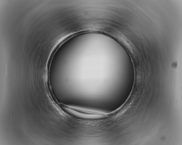 X0000098220940200805081155