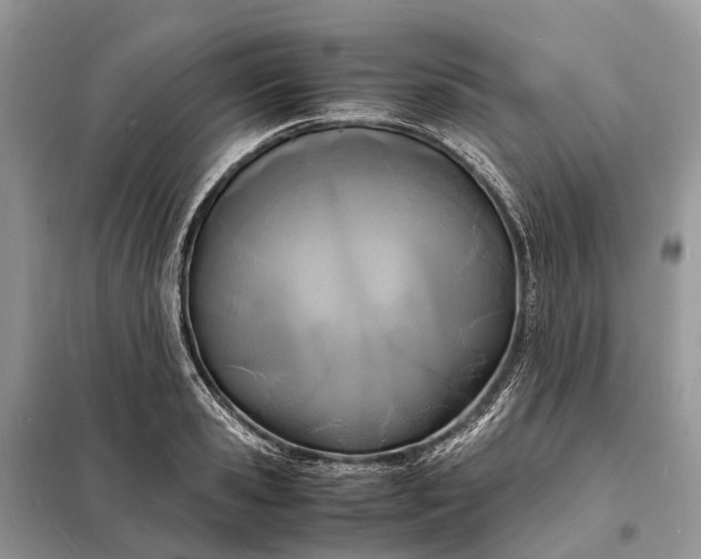 X0000098220941200805081155