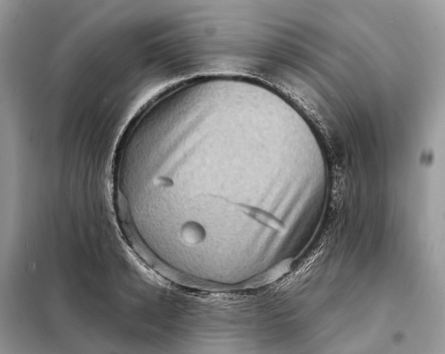 X0000098220942200805081155