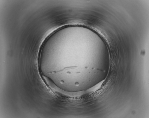 X0000098220943200805081155