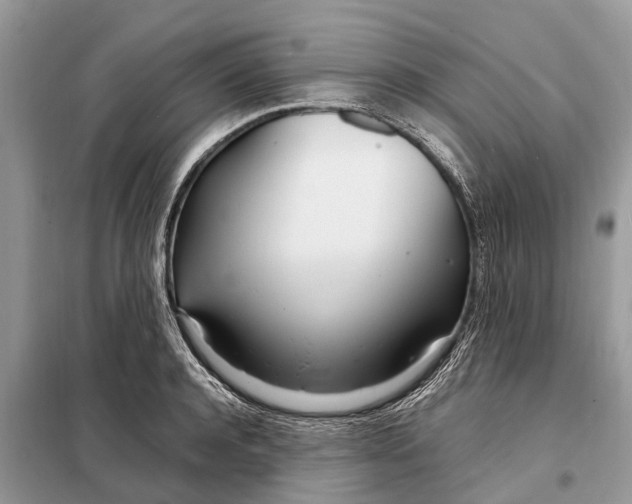 X0000098220944200805081155