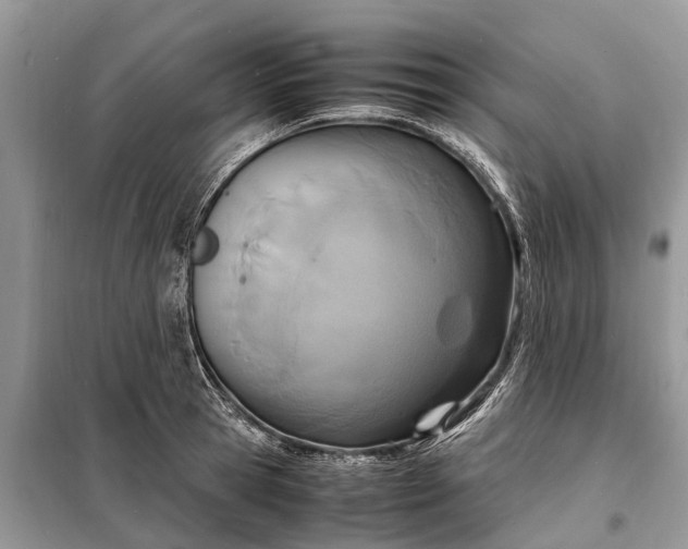 X0000098220945200805081155