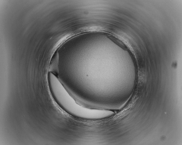 X0000098220946200805081155