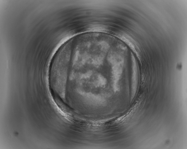 X0000098220947200805081155