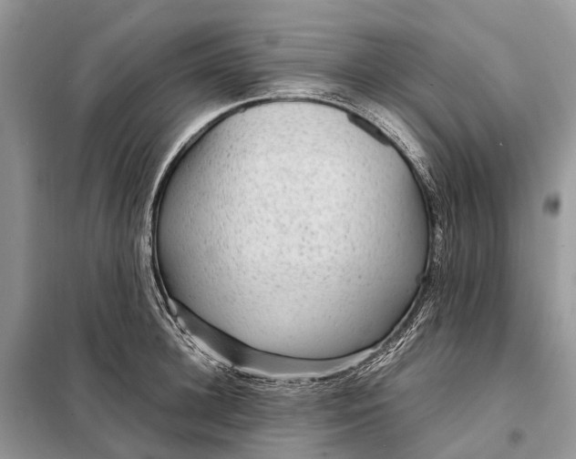 X0000098220948200805081155