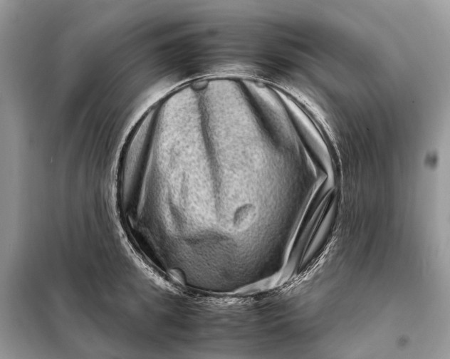 X0000098220949200805081155