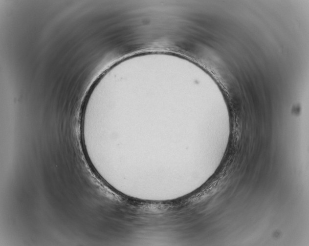 X0000098220950200805081155