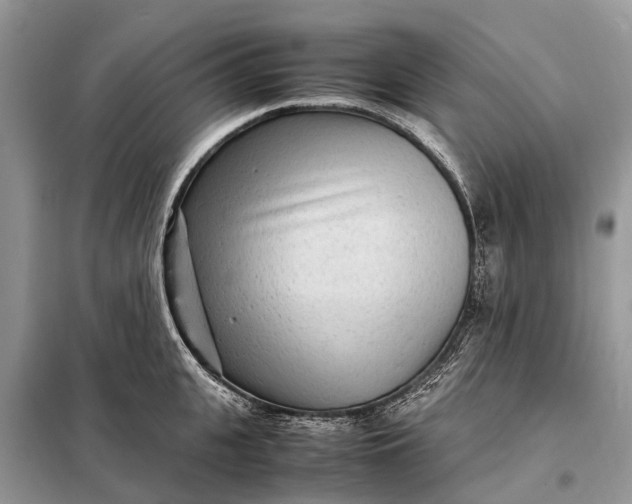 X0000098220951200805081155