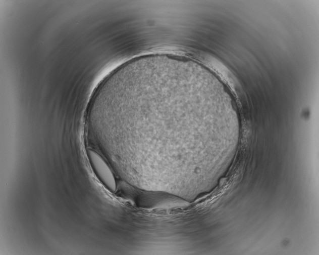 X0000098220952200805081155