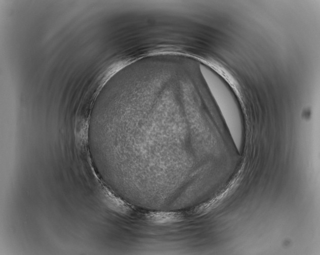 X0000098220953200805081155