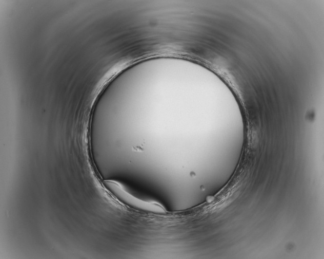 X0000098220954200805081155