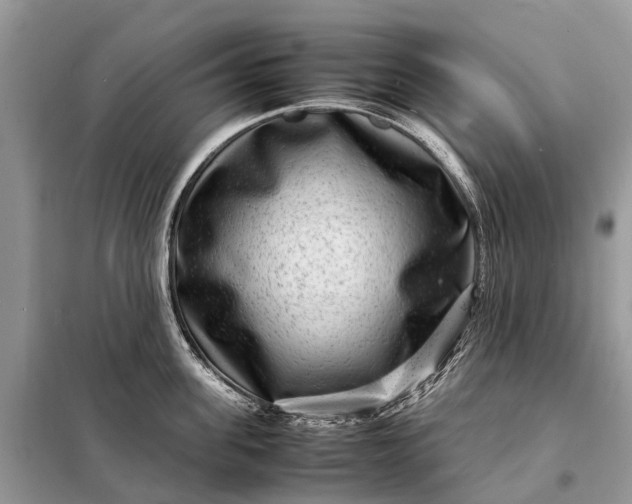 X0000098220955200805081155