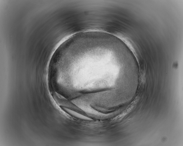 X0000098220957200805081155