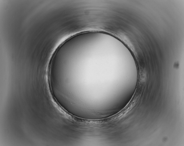 X0000098220958200805081155