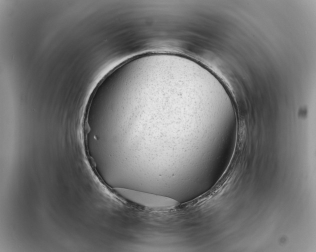 X0000098220959200805081155