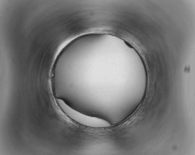 X0000098220960200805081155