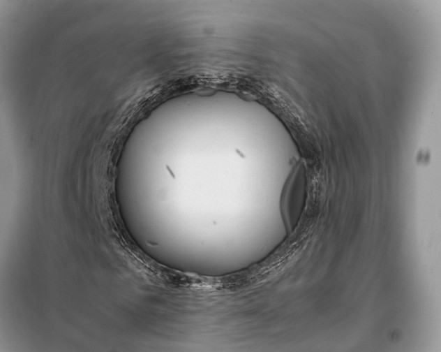 X0000098220961200805081154