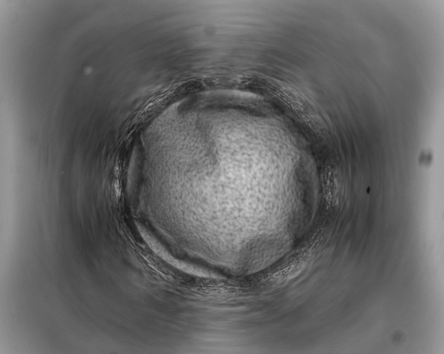 X0000098220962200805081154