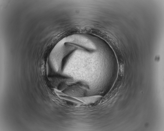 X0000098220963200805081154