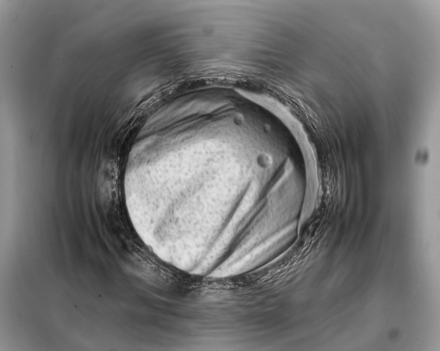 X0000098220964200805081154