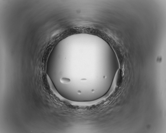 X0000098220965200805081154