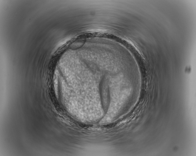 X0000098220967200805081154