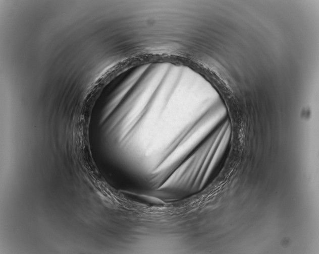 X0000098220968200805081154