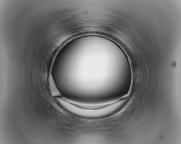 X0000098220969200805081154