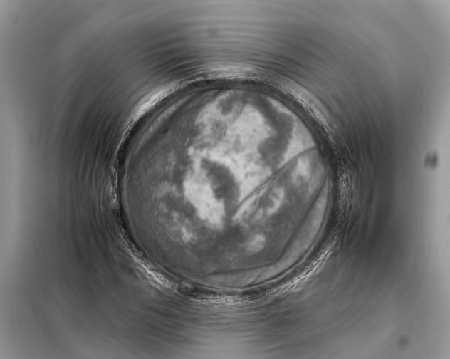 X0000098220970200805081154