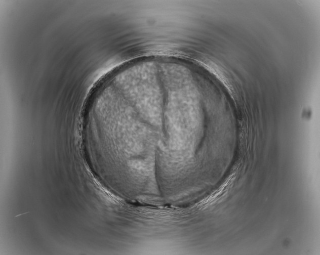 X0000098220971200805081154