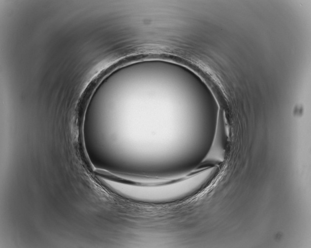 X0000098220973200805081154