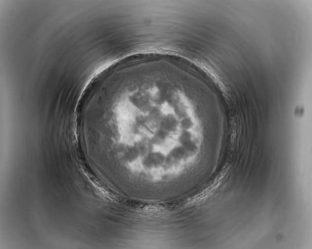 X0000098220974200805081154