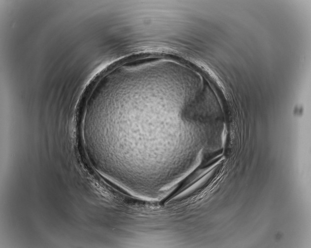 X0000098220975200805081154