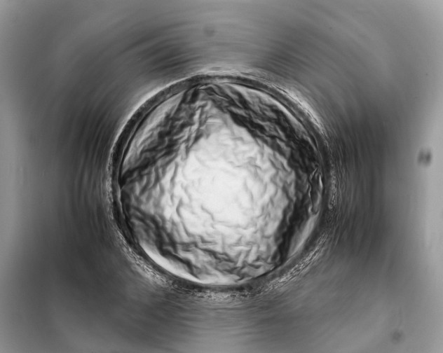 X0000098220976200805081154