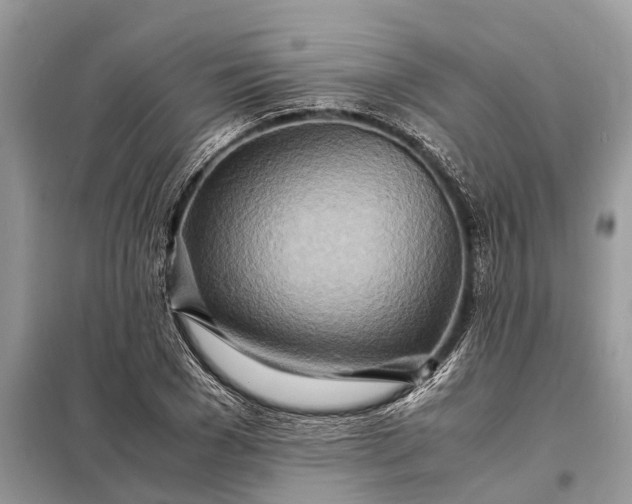 X0000098220977200805081154