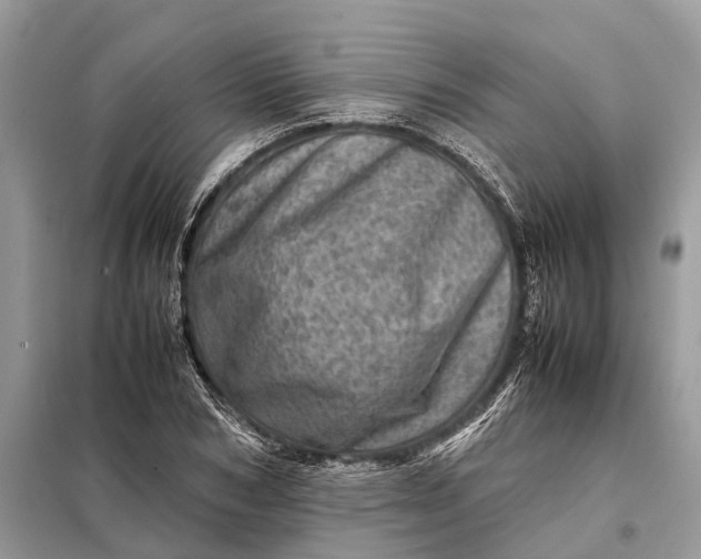 X0000098220978200805081154