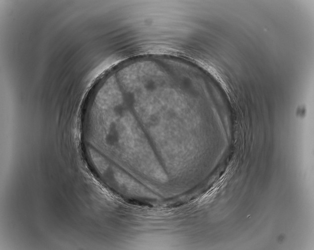 X0000098220979200805081154