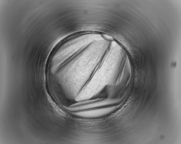 X0000098220980200805081154