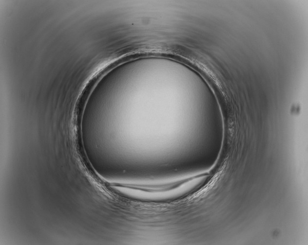 X0000098220981200805081154