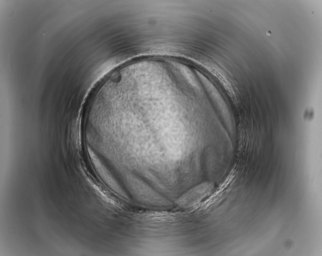 X0000098220982200805081154