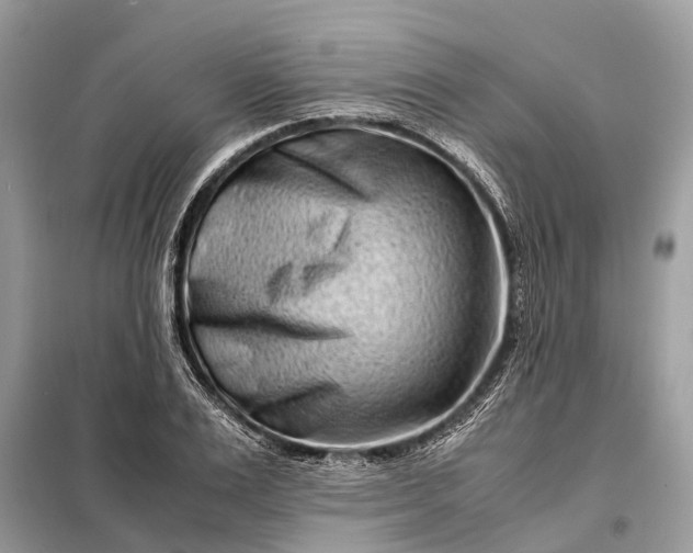 X0000098220983200805081154