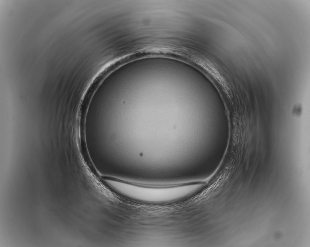 X0000098220984200805081154