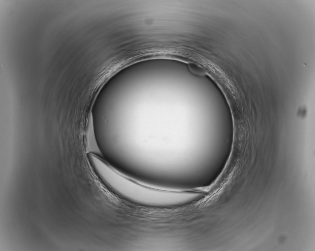 X0000098220985200805081154