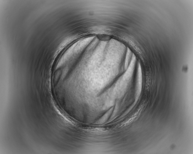 X0000098220986200805081154