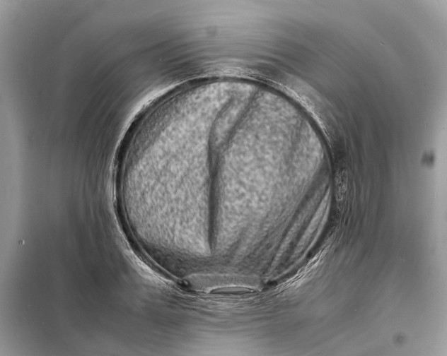 X0000098220987200805081154