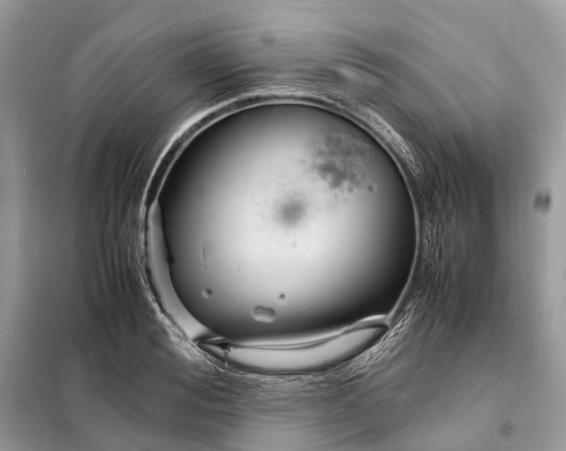 X0000098220988200805081154