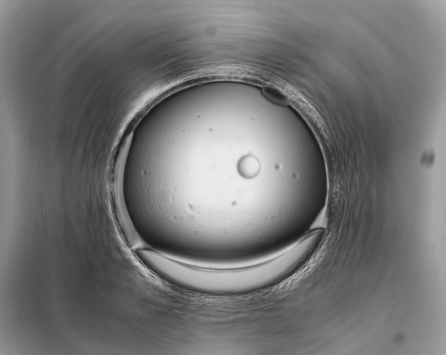 X0000098220989200805081154