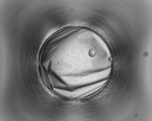 X0000098220990200805081154