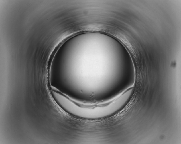 X0000098220992200805081154