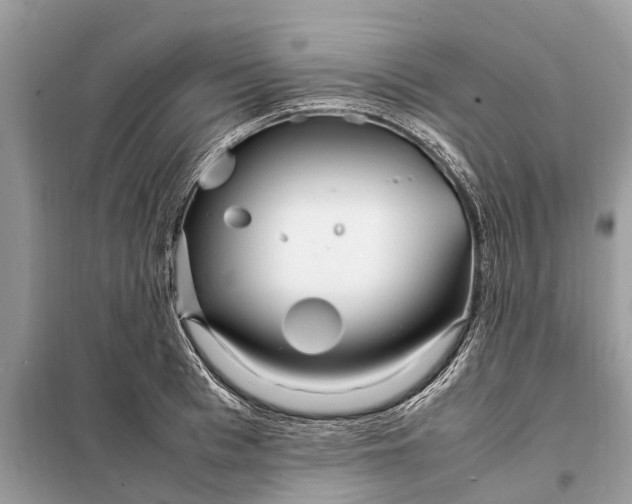 X0000098220993200805081154